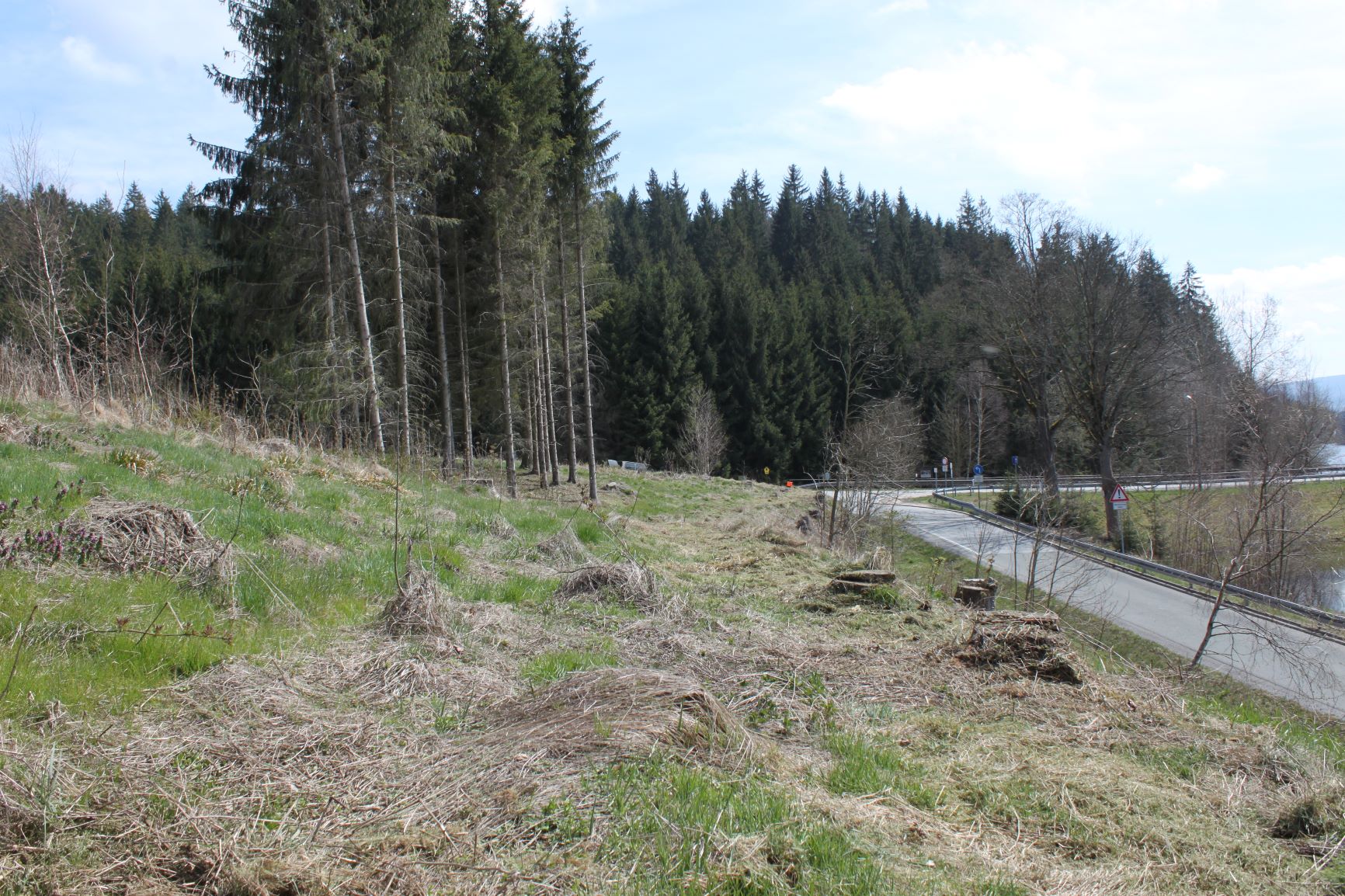 Protect the Nature Streuobstwiese Stützengrün